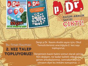 11 Maddede Dergi p.Dr.