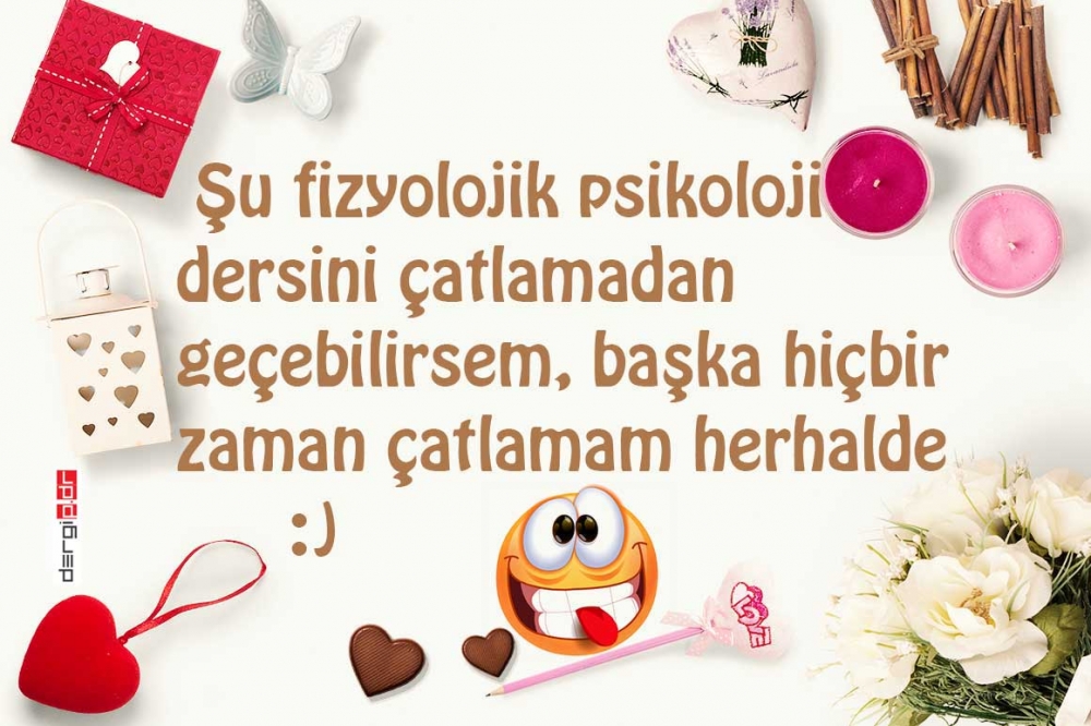 PDR 1. SINIFLARIN DÜŞÜNDÜKLERİ 6