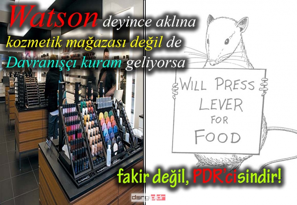 EĞLENCELİ PSİKOLOJİK DEĞERLENDİRMELER 11