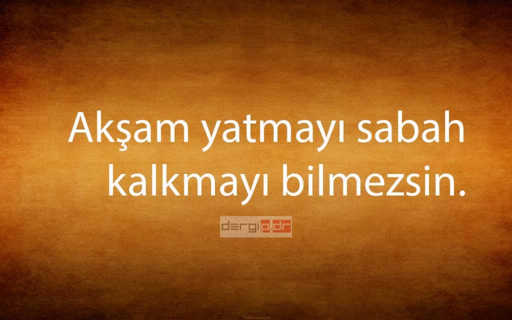 EVRENSEL ANNE CÜMLELERİ 7