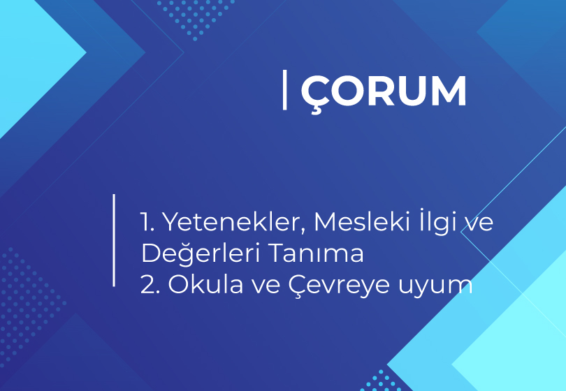 2020-20201 YILI İÇİN İLLERE GÖRE GÜNCEL YEREL HEDEFLER 16