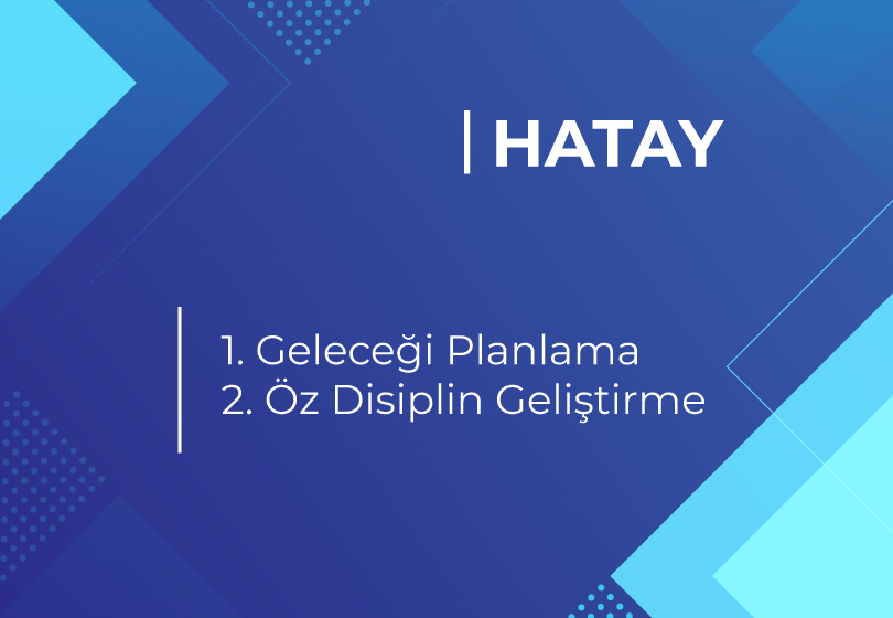 2020-20201 YILI İÇİN İLLERE GÖRE GÜNCEL YEREL HEDEFLER 29
