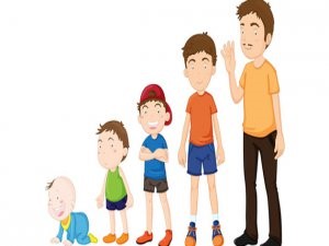 Erikson'un Psikososyal Kuramı ve Evreleri