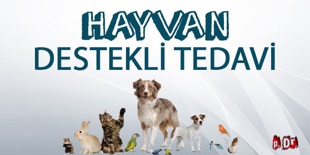 Hayvan Destekli Tedavi (HDT)