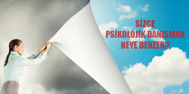 Sizce Psikolojik Danışman Neye Benzer?