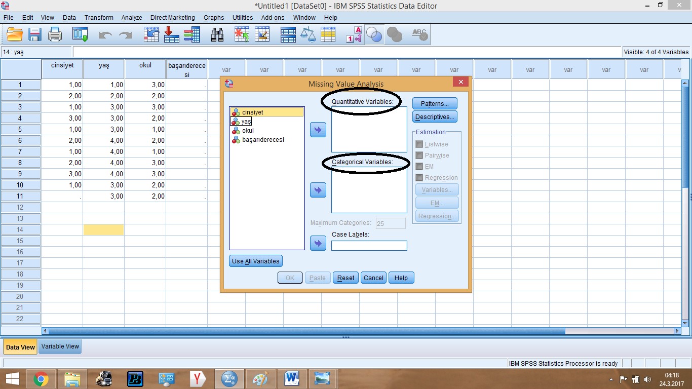 SPSS Интерфейс программы